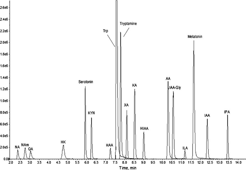 Typical LC-MS/MS chromatogram of a standard sample 